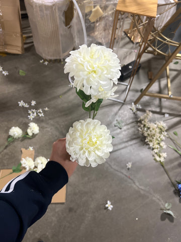 White Pompom  Dahlia spray