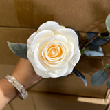 Single Stem RocoCo Rose cream fall color