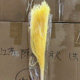 Yellow  Preserved bunch 24” (8-10/bundle)horsetail