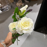 New Garden Rose Spray( White)