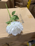 New White Empress Single Stem Rose