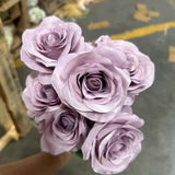 New 9 head lilac julie Rose bunch