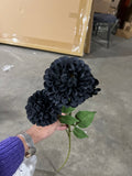 Black Pompom Dahlia spray