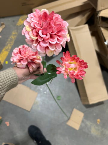 Pink Pompom  Dahlia spray