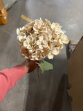 Single Stem Vintage Champagne Hydrangea Spray