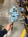 Preserved Dried Cotton bundle of 10 heads (Blue)