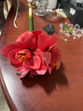 Red Amaryllis Spray