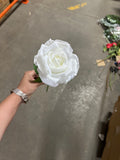 New White Empress Single Stem Rose