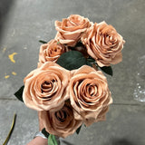 Cappuccino color Rose 10 head Bunch