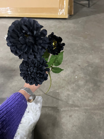 Black Pompom Dahlia spray