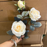 Single Stem RocoCo Rose cream fall color