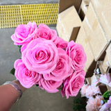 10 head Hot pink Rose (lighter)