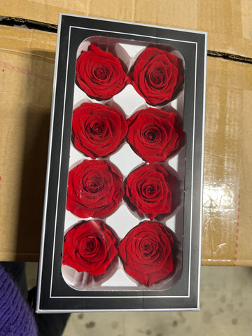 Preserved Rose Red (box of 8)