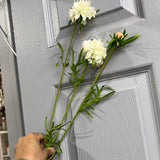 New Long Stem White Snow Ball  flower