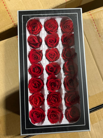 Preserved Rose Head Red (box of 21)