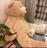 Giant Bear 150cm-160cm