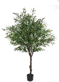 7’/2.4 meter olive Tree in a pot XDJ1803-7FG