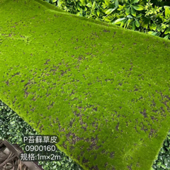 Green grass Carpet Fabric 1mx2m moss