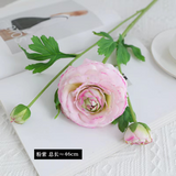 Moist Touch Single stem Ranunculus Spray