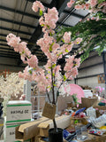 4.5 feet Cherry Blossom mini Tree in a pot Pink XDJ1328-45