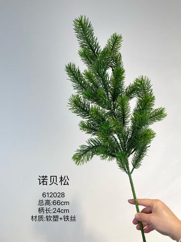 Christmas greenery pine conifer