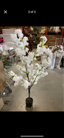 115CM Tall white Cherry Blossom mini Tree in a pot