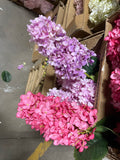 Pink panicle/cone Hydrangea Single Stem two tone