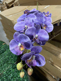 PHALAENOPSIS ORCHID yellow ARTIFICIAL