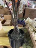 115CM Tall cream Cherry Blossom mini Tree in a pot