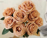 Cappuccino color Rose 10 head Bunch