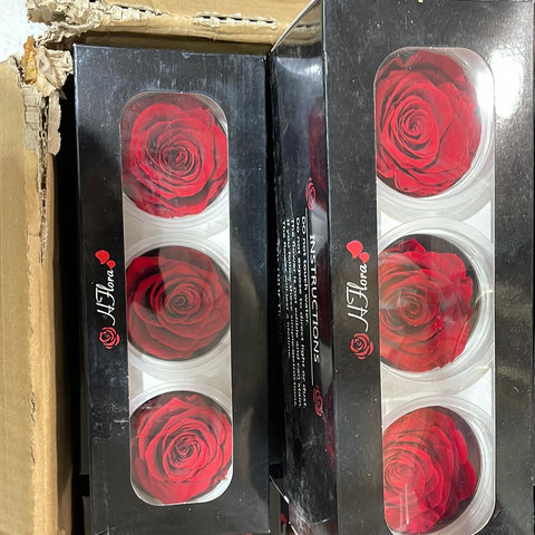 Preserved Rose Head Red (box of 3)