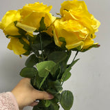 Lemon yellow 10 head Diamond Rose yellow