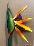 Birds of paradise orange for Wedding tropical artificial flower real Touch - Richview Glass Wedding Supplies