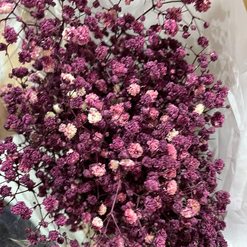 Preserved baby’s breath bunch Purple